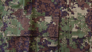 The Government Says It Wasted Millions of Dollars Dressing the Afghan Army in Proprietary Camouflage